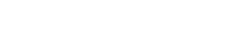 Wottica